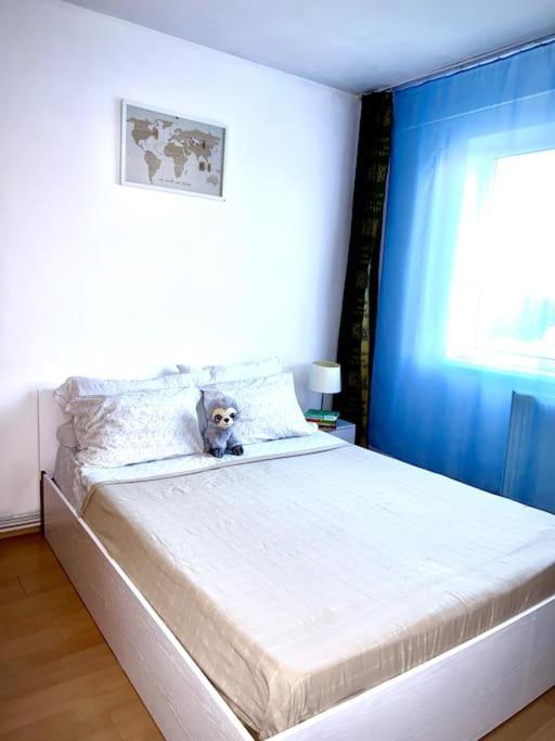 Ap 2 Cam Confortabile - Ab House Iasi Esterno foto