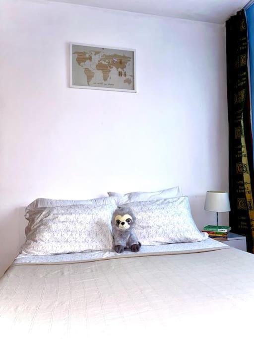 Ap 2 Cam Confortabile - Ab House Iasi Esterno foto