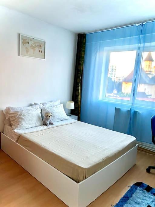 Ap 2 Cam Confortabile - Ab House Iasi Esterno foto